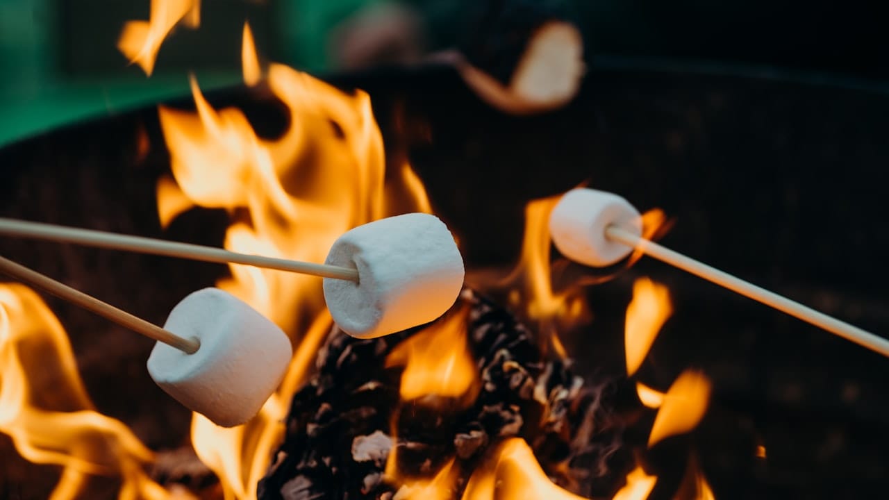 Are Marshmallows Vegan? The Gelatin Problem, and the Brands That Skip It