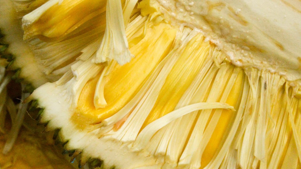 How to Cook Jackfruit (Pulled-Pork Style)