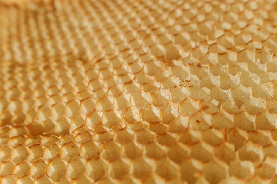 Is Beeswax Vegan? What You Need to Know About E901