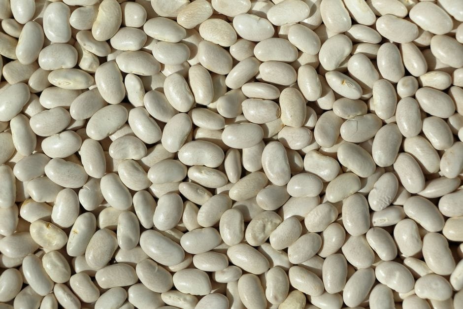 High-resolution image of white beans, ideal for culinary and agricultural themes.